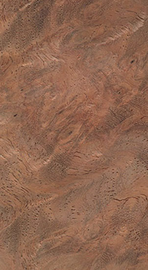 Amboyna Burl Image
