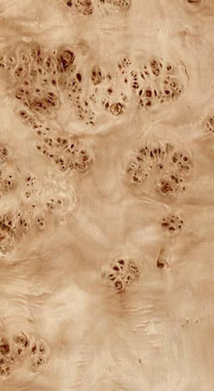 Mappa Burl Image