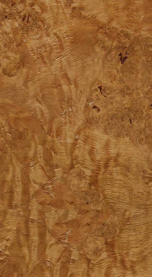 Oak burl Image