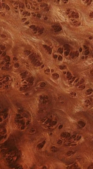 Redwood Burl Image