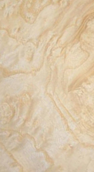 White Ash Burl Image