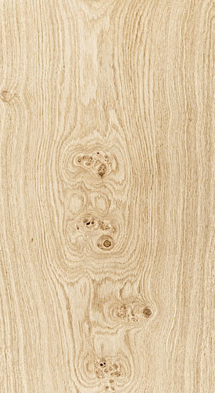 Rustic Knotty Oak Burl Image