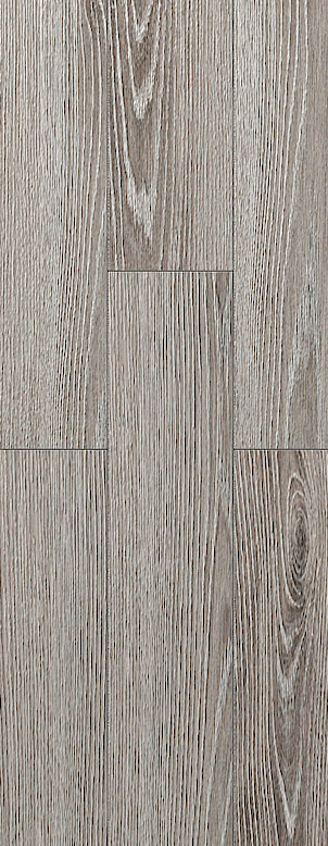 San Marino Oak Image